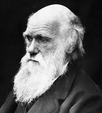 Charles Darwin Portrait